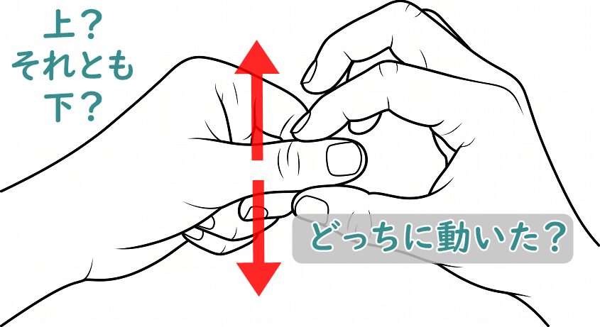 運動覚の検査のイラスト。母指を側方から把持し上か下かに動かす様子。