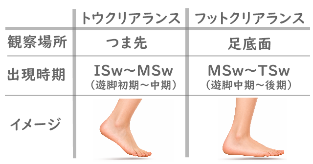 トウクリアランスとフットクリアランスの比較表。観察場所と出現時期、イメージ図で違いを解説。