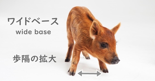 足を横に広げて四つ足で立つウリ坊。ワイドベースの解説テキスト入り。