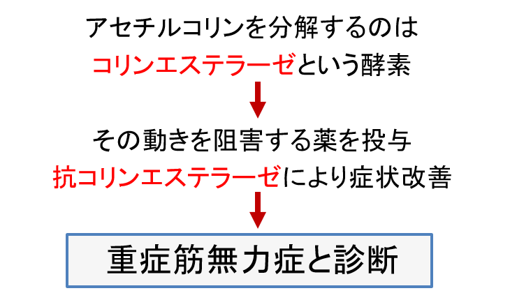 テンシロンテストのメカニズムをテキストで解説。コリンエステラーゼ阻害薬で改善すればMGとなる。