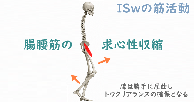 遊脚初期のイラスト。腸腰筋の求心性収縮で股関節を屈曲させる重要性を解説。