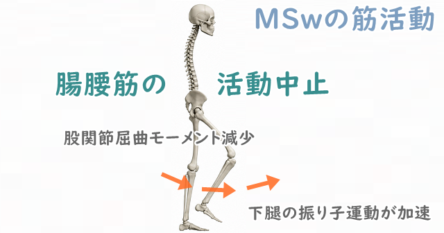 遊脚中期のイラスト。腸腰筋の求心性収縮が活動を止めることで股関節を屈曲モーメントが減弱することを解説している。
