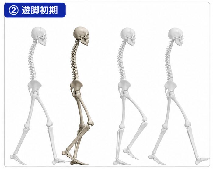 PSw→ISw→MSw→TSwの4スライド。ISwが目立つ配列になっている。