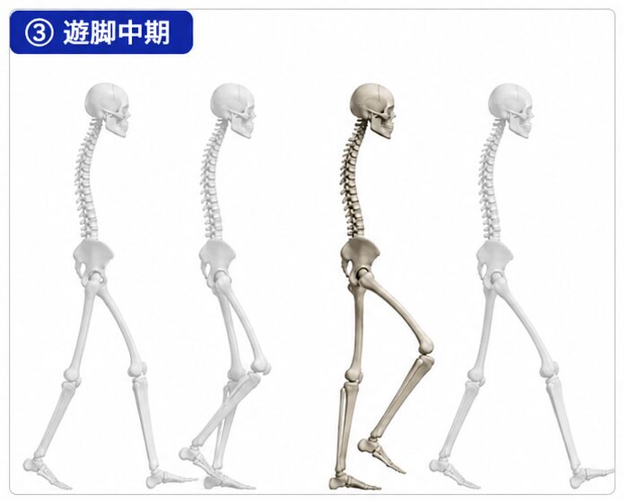 PSw→ISw→MSw→TSwの4スライド。MSwが目立つ配列になっている。
