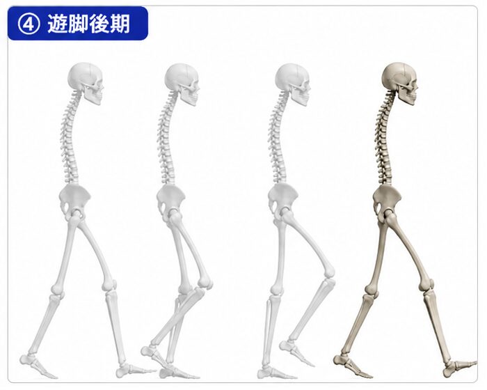 PSw→ISw→MSw→TSwの4スライド。TSwが目立つ配列になっている。