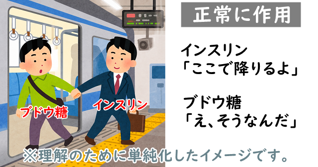 インスリンがブドウ糖の手を引っ張って電車からブドウ糖を降ろすいらすと。
