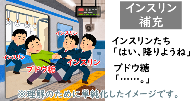 インスリンが3人に増えてブドウ糖の手を引っ張って電車からブドウ糖を降ろすいらすと。