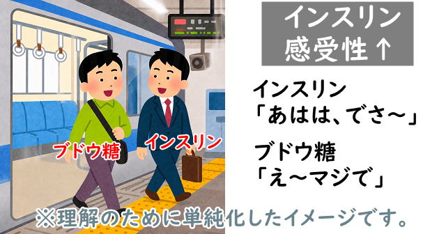 インスリンがブドウ糖と一緒に談笑しながら電車からブドウ糖と一緒に降りるいらすと。